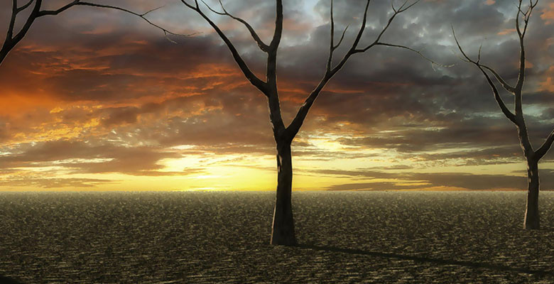 7 Days After Mobilegeddon: How Far Did the Sky Fall? – Moz