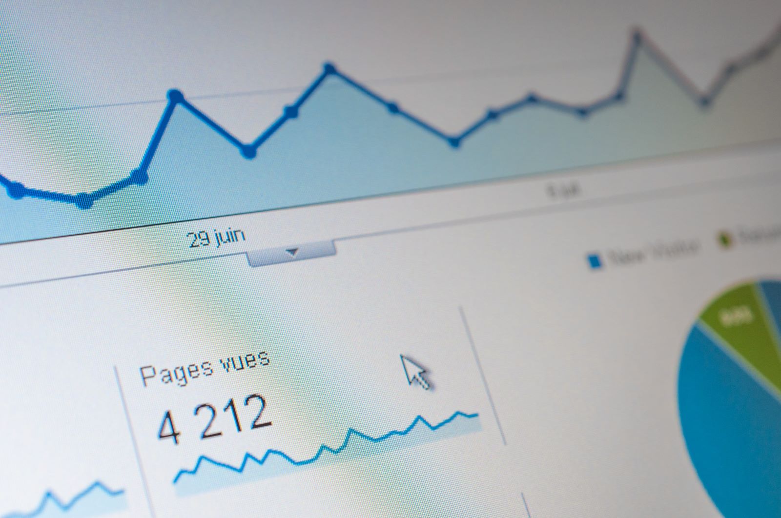 charlotte web designer